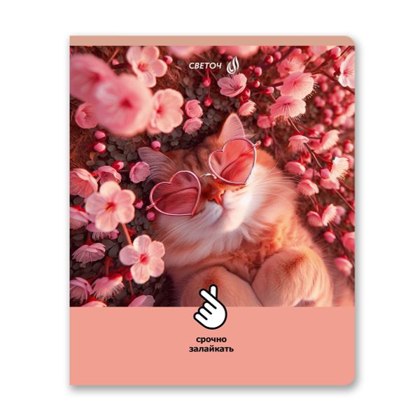 Тетрадь ученическая общая, матовый сплошной лак+запечат.форзац+титул лист A5+ 96 л. на скобе 65 г/м², белизна 100 %, 5 шт, клетка, 01125 Микс-Залайкай, Светоч Т79