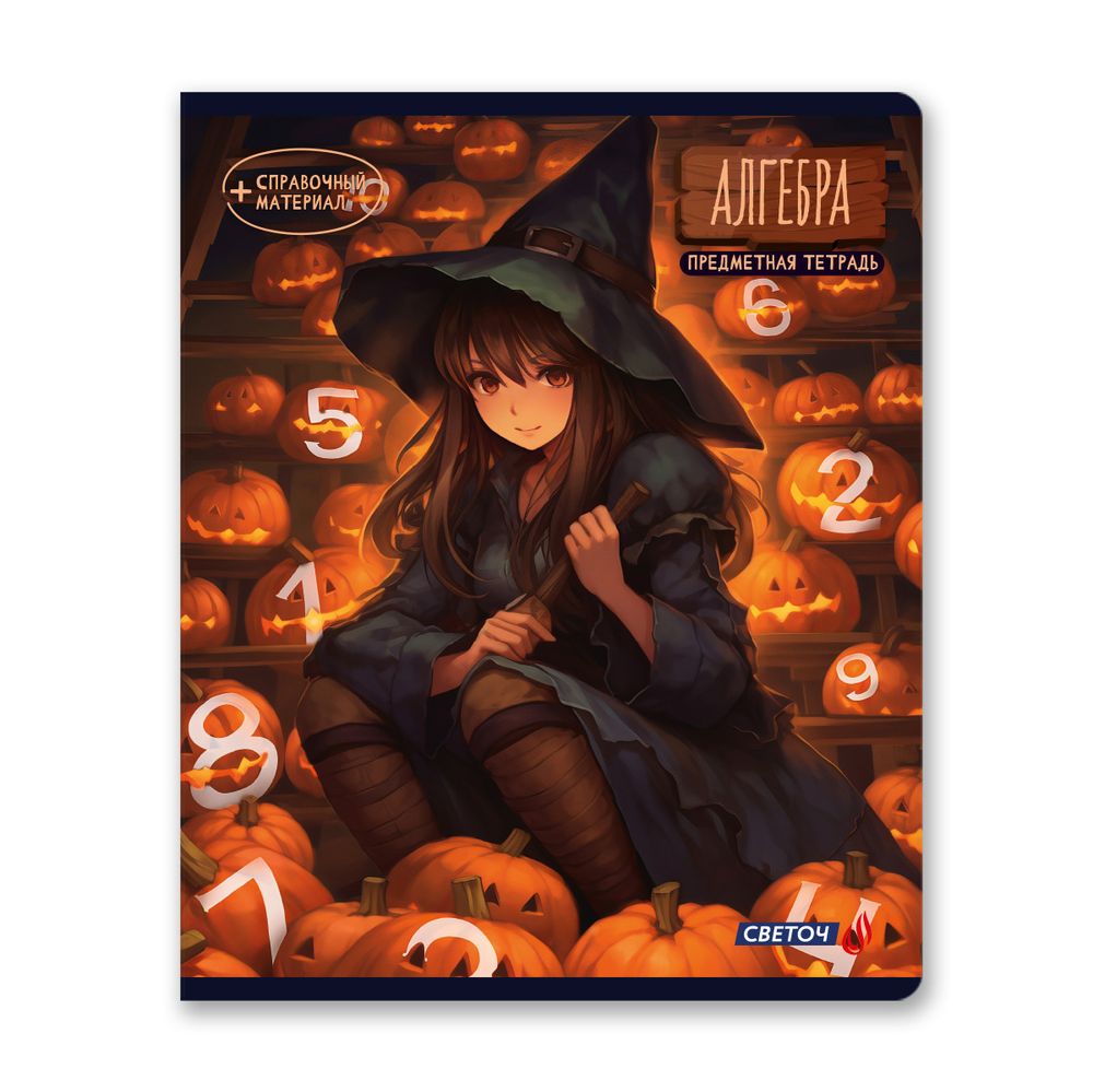 Тетрадь со справочным материалом Ковен тайных знаний, A5+ 48 л. на скобе 65 г/м², белизна 100%, 10 шт, клетка, 00851 Алгебра, Светоч 48Т7