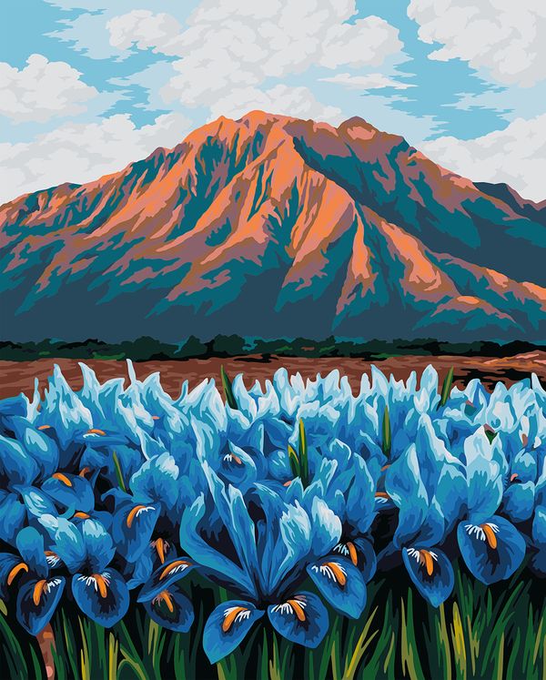 Картина по номерам Фрея PNB/PL-346, Ирисы в горах, 50х40 см