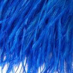 Перья на ленте Страус 15 см, FBY-15-087, цв. синий неон, 2м