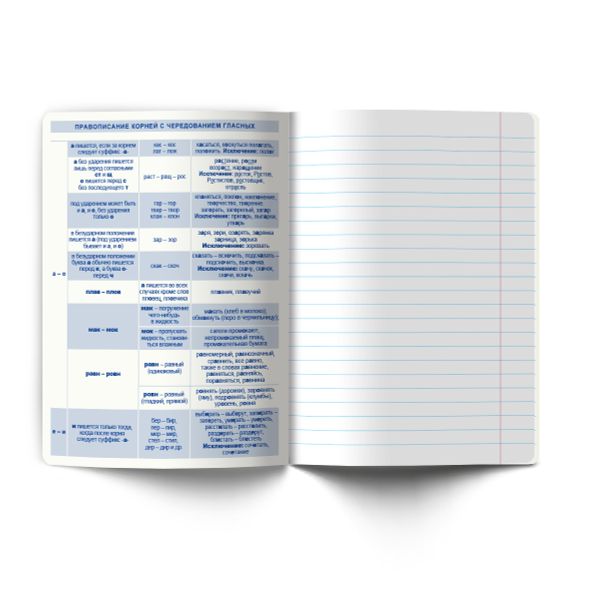 Тетрадь со справочным материалом Огромный мир внутри, A5 48 л. на скобе 60 г/м², белизна 90% 10 шт линия, 01810 Огромный мир внутри Русский язык, Светоч Т279