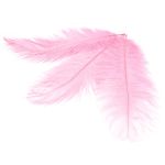 Перья страуса декоративные 20-25см, 10 шт в упак, розовый