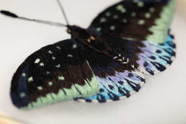 Набор для вышивания нитками Panna, Живая картина. Бабочка. Эрцгерцог, 13х13 см