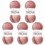 Пряжа YarnArt (ЯрнАрт) Troya / уп.5 мот. по 100 г, 250 м, 2105 секционный