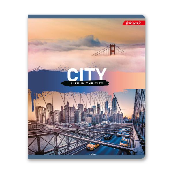 Тетрадь ученическая общая, A5+ 96 л. на скобе, белизна 100%, 5 шт, клетка, 000349 Мегаполис, Светоч 96ТСК5_1_3_1