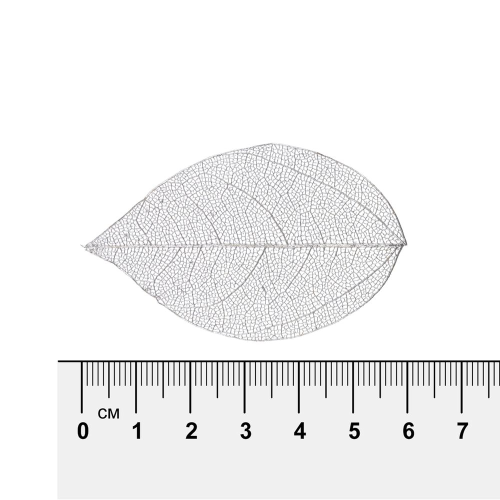 Листья скелетированные 2-6 см, 50 шт (5х10 шт), 03 серебристый, Mr.Painter SFL-01