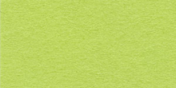 Бумага цветная 120 г/м², А4, 50 шт, 50 зеленый весенний (spring green), Vista-Artista TPO-A4