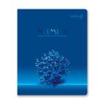 Комплект тетрадей со справочными материалами Кристалл тайного, глянц.ламинация, A5 48 л. 12 шт на скобе 65 г/м², белизна 100% 1 шт клетка/линия, 01885 12 предметов, Светоч Т296