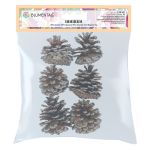 Шишки сосновые, 6 шт, 02 Сосна/ под серебро, Blumentag CIF-02, УЦЕНКА