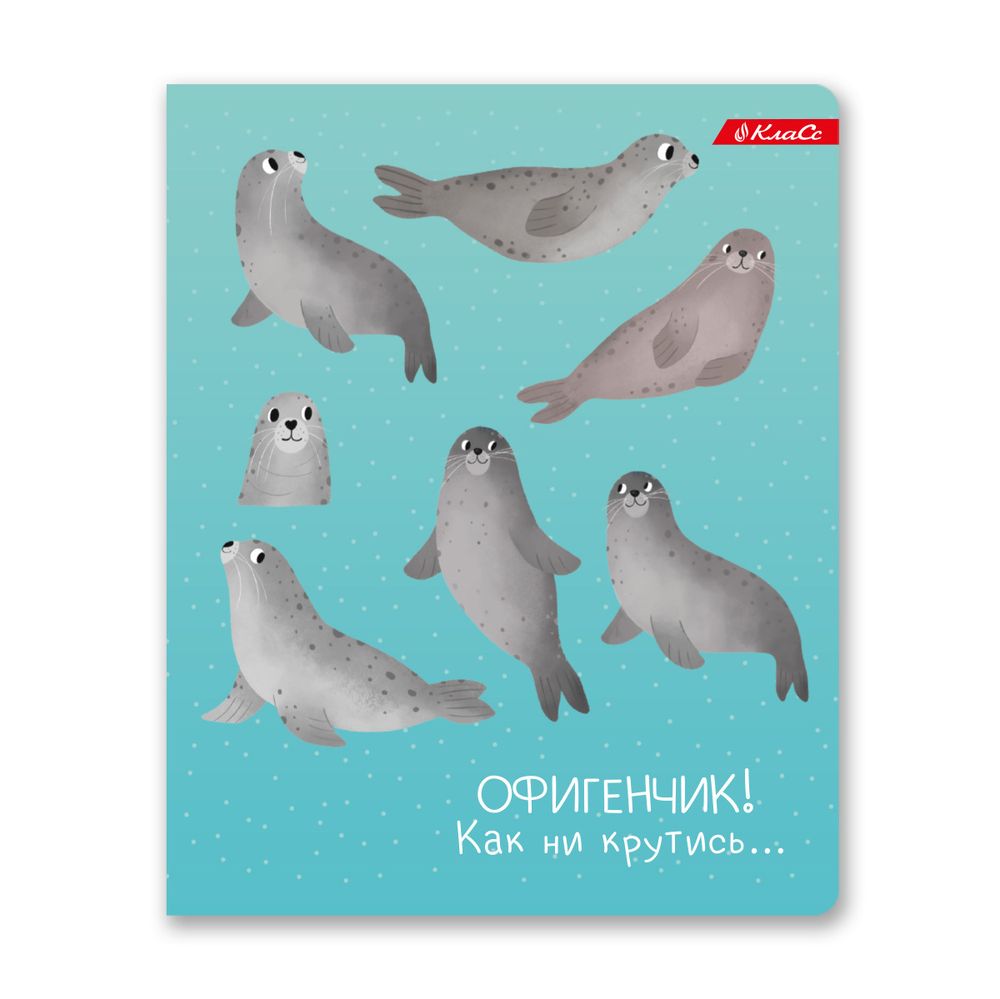 Тетрадь ученическая общая, A5+ 48 л. на скобе, белизна 100%, 10 шт, клетка, 000317 Почилим!, Светоч 48ТСК5_3_1