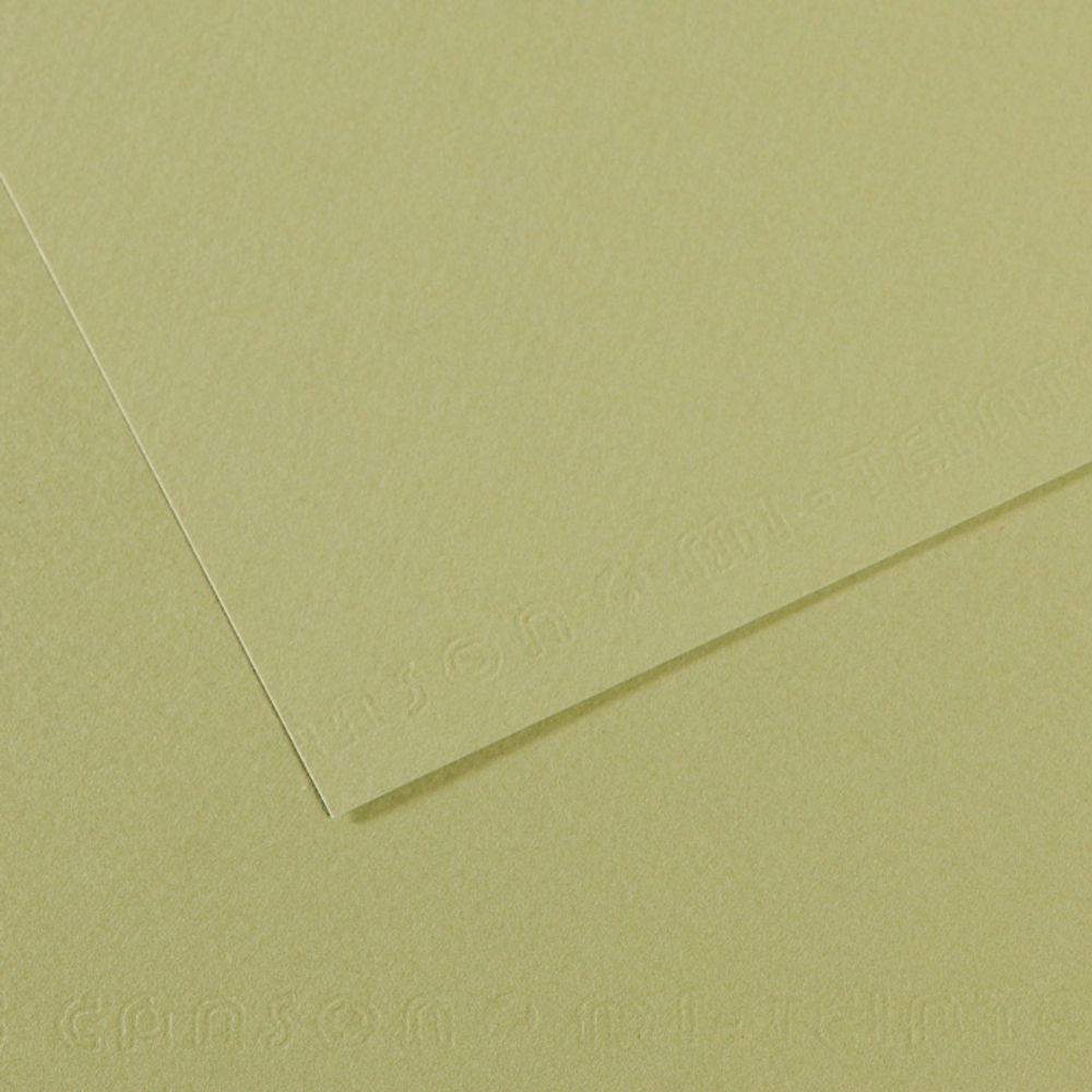 Бумага для пастели Mi-Teintes 160 г/м², A4 21х29.7 см, 25 л, №480 Зеленый светлый, Canson, C31032S022