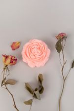 Воск кокосовый 300 г, Love2art COCO-300