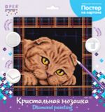 Алмазная (кристальная) мозаика Фрея, постер Шотландская кошка, 30х30 см