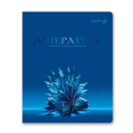 Комплект тетрадей со справочными материалами Кристалл тайного, глянц.ламинация, A5 48 л. 12 шт на скобе 65 г/м², белизна 100% 1 шт клетка/линия, 01885 12 предметов, Светоч Т296