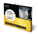 Картина по номерам Фрея GTG-PNB/PL-200, По мотивам картины Врубеля М. А. «Царевна-лебедь». 1900. Фрагмент, 50х40 см