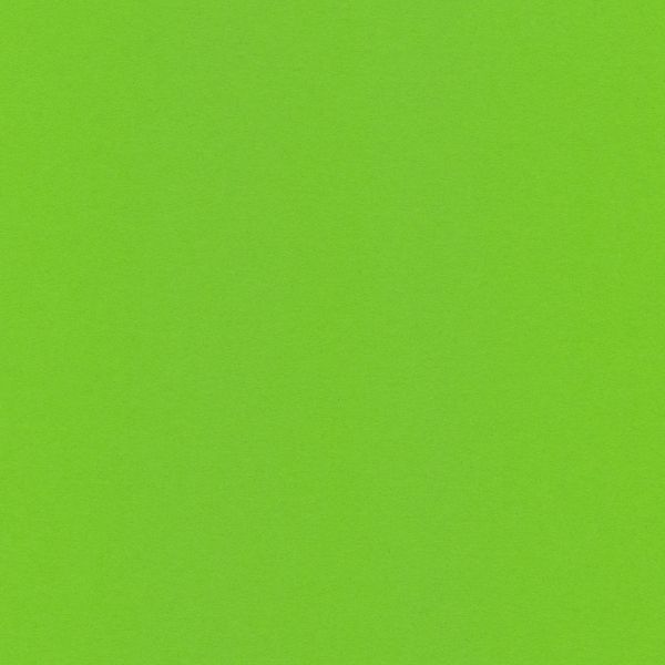 Бумага цветная 120 г/м², A4 21х29.7 см, 50 шт, 26 зеленый травяной/green grass, Vista-Artista