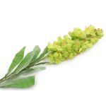 Цветы искусственные Люпин, 78см, C Салатовый