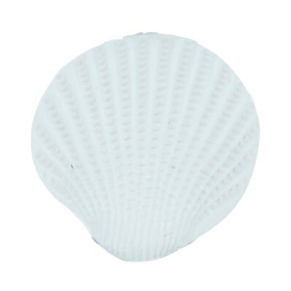 Пуговицы детские 15 мм, 36 шт, №D501 белый, Gamma AY 9200