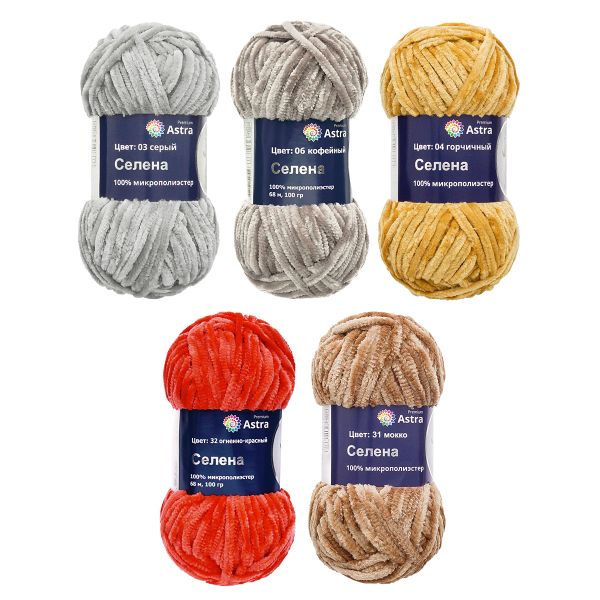Пряжа Astra Premium (Астра Премиум) Селена / уп.5 мот. по 100 г, 68 м, ассорти №4 (5 цветов)