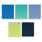 Тетрадь ученическая общая, выборочный лак, A5+ 96 л. на скобе 60 г/м², белизна 100%, 5 шт, клетка в термоусадочной пленке, 000783 В цвете, Светоч 96ТЕТк-003