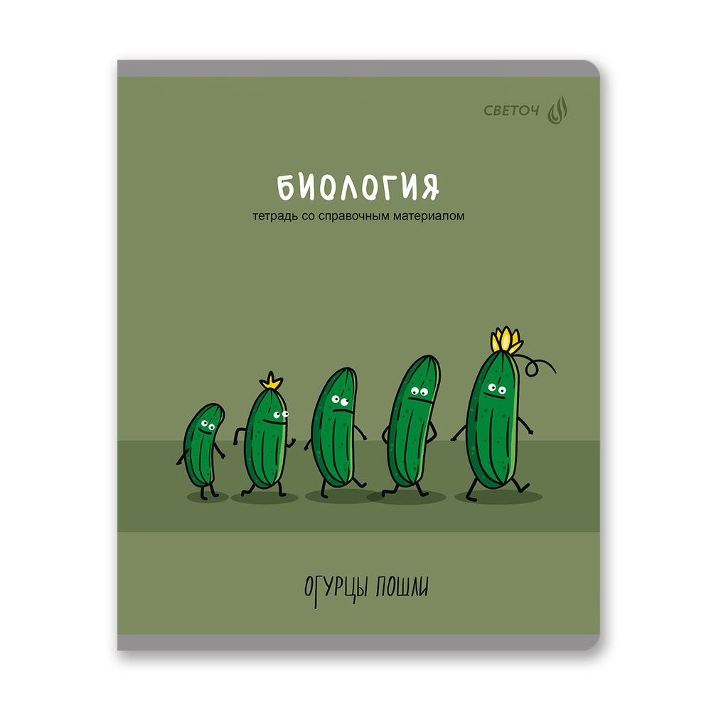 Комплект тетрадей со справочными материалами Большая перемена, выбор.лак, A5 48 л. 12 шт на скобе 65 г/м², белизна 100% 1 шт клетка/линия, 01884 12 предметов, Светоч Т295