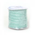 Лента бархатная (тесьма) 10.0 мм / 22.86±1 метров, арт.10VR16 нейлон цв.мятный