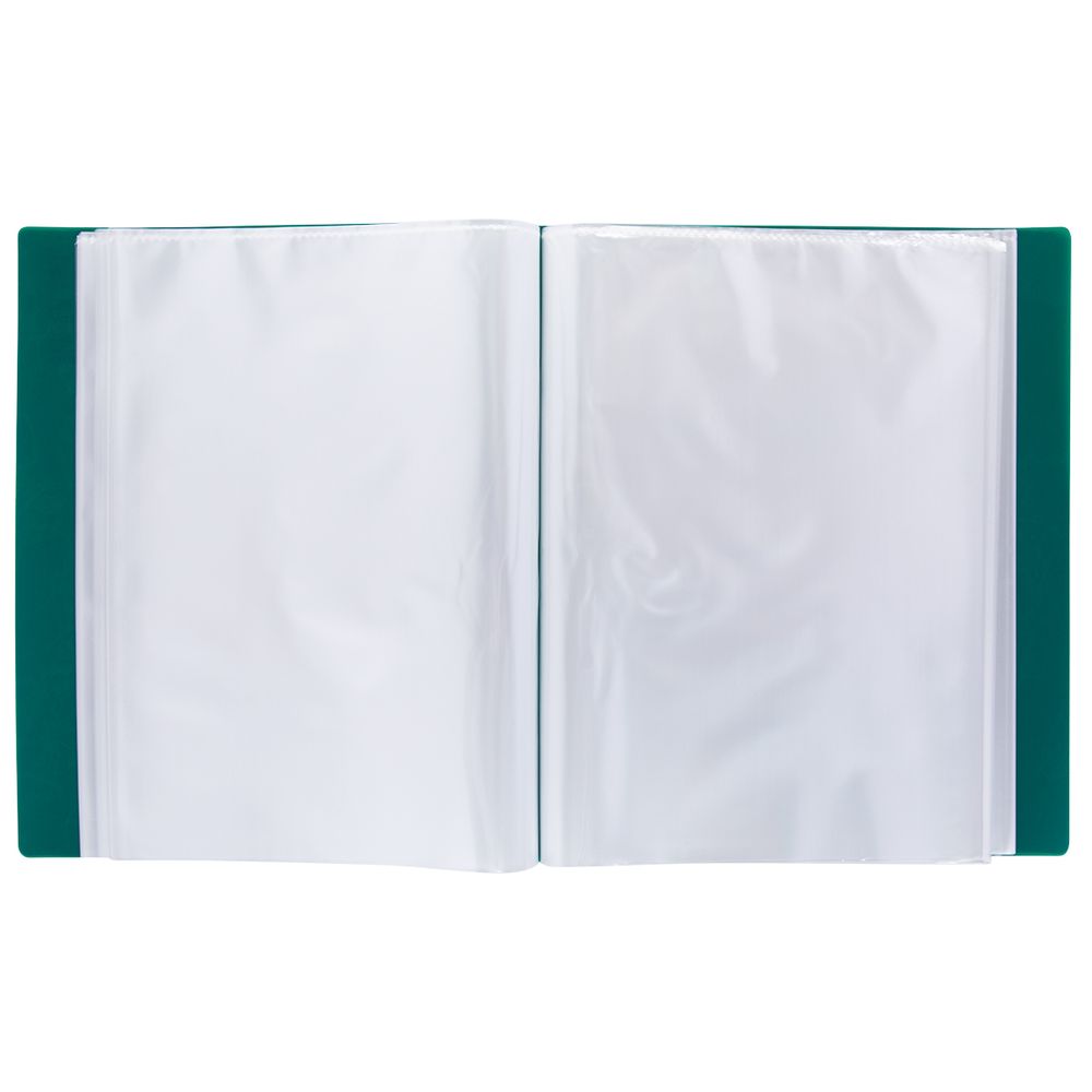 Папка с вкладышами 80 л. A4 700 мкм 25 мм, волокно, 4 шт, зеленый new EC211930003, Expert Complete