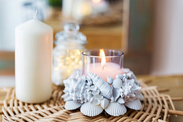 Ракушки декоративные 100 г, ± 5 г, 2.5 см, Nassa Pussata Asstd, Zlatka DRF-010