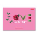 Альбом для рисования 100 г/м², A4 29х20.5 см, 48 л. на скобе, 5 шт, 000264 Время любви, Светоч 48АЛСК4_1_3_9