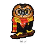 Термоаппликация 2204 Сова с шарфом 5х7см, уп.10 шт