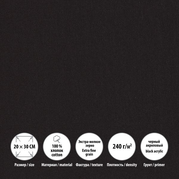 Холст грунтованный на подрамнике 20х30 см, 240 г/м², 2 шт, PERESLAVL BLACK EDITION мелкозернистый, Vista-Artista ACBF-2030