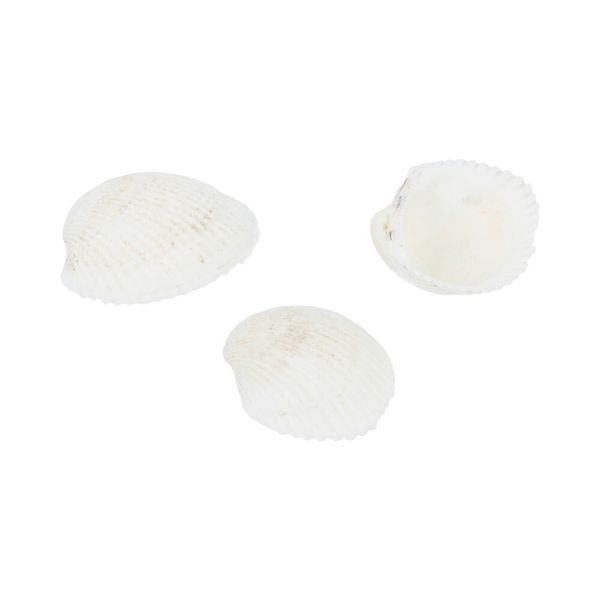 Ракушки декоративные 25х30 мм, 100 г (5х20 г), №01 натуральный, Zlatka D20-22