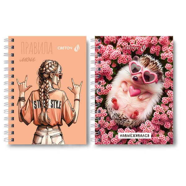 Записная книжка на гребне A6 120 л., 4 шт, клетка, Мои правила 01182, Светоч ЗК110