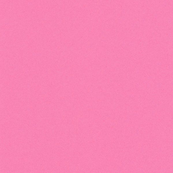Бумага цветная 120 г/м², A4 21х29.7 см, 50 шт, 16 ярко-розовый/hot pink, Vista-Artista