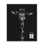 Бизнес-блокнот, матовая ламинация, A5+ 80 л. 18 шт, клетка, Всё решится! 000423, Светоч 80ББТ5_2_5_1