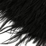 Перья на ленте декоративные Страус FBY-15-100 15см черный уп.2м