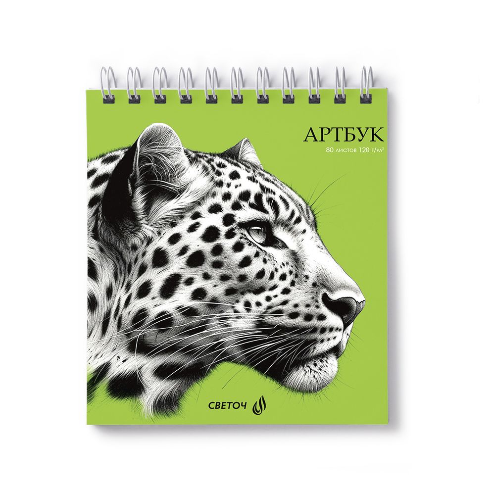 Артбук (Скетчбук), блок белый, жесткая подложка, 120 г/м², 166х175 мм, на гребне 80 л. 2 шт, Леопард 01364, Светоч А159