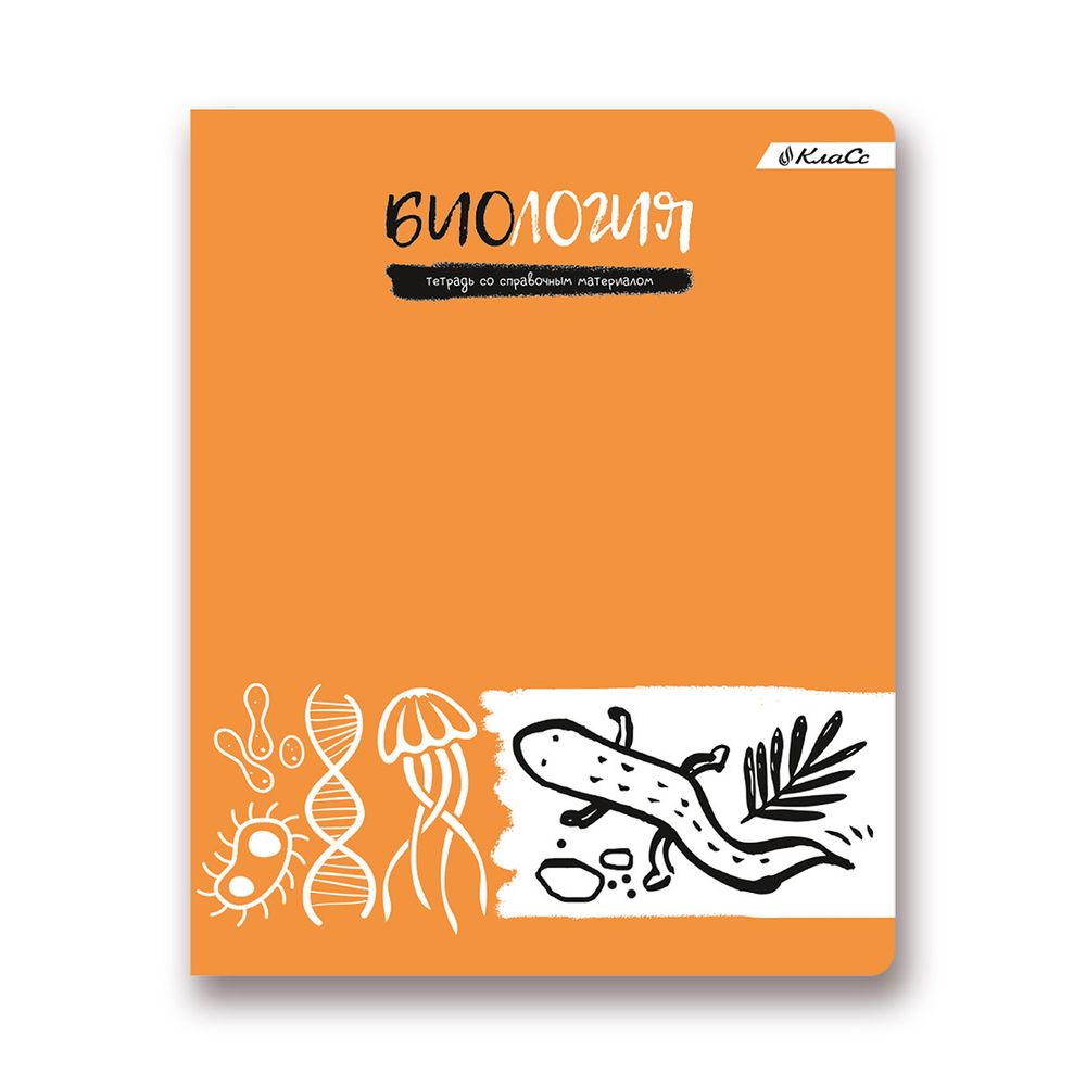 Комплект предметных тетрадей Грызем гранит науки A5+ 48 л. 12 шт, на скобе клетка/линия, Алгебра, Английский, Биология, География, Геометрия, Физика, Химия, История, Русский, Литература, Обществознание, Информатика, Светоч