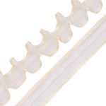 Лента капроновая (органза) для сборки бантов 20 мм, 25м HRPL-1021 (HS-1001 молочный)