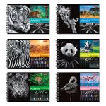 Альбом для рисования, 100 г/м², A4 29х20.5 см, на гребне 40 л., 6 шт, 40АЛГР4_000244 Саванна, Светоч