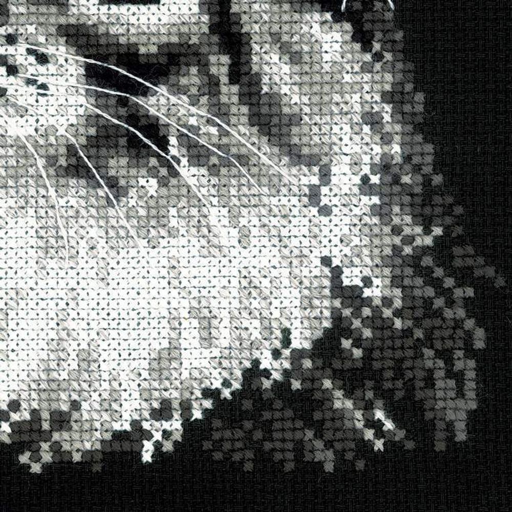 Набор для вышивания нитками Риолис, Мейн-кун 21х30 см набор