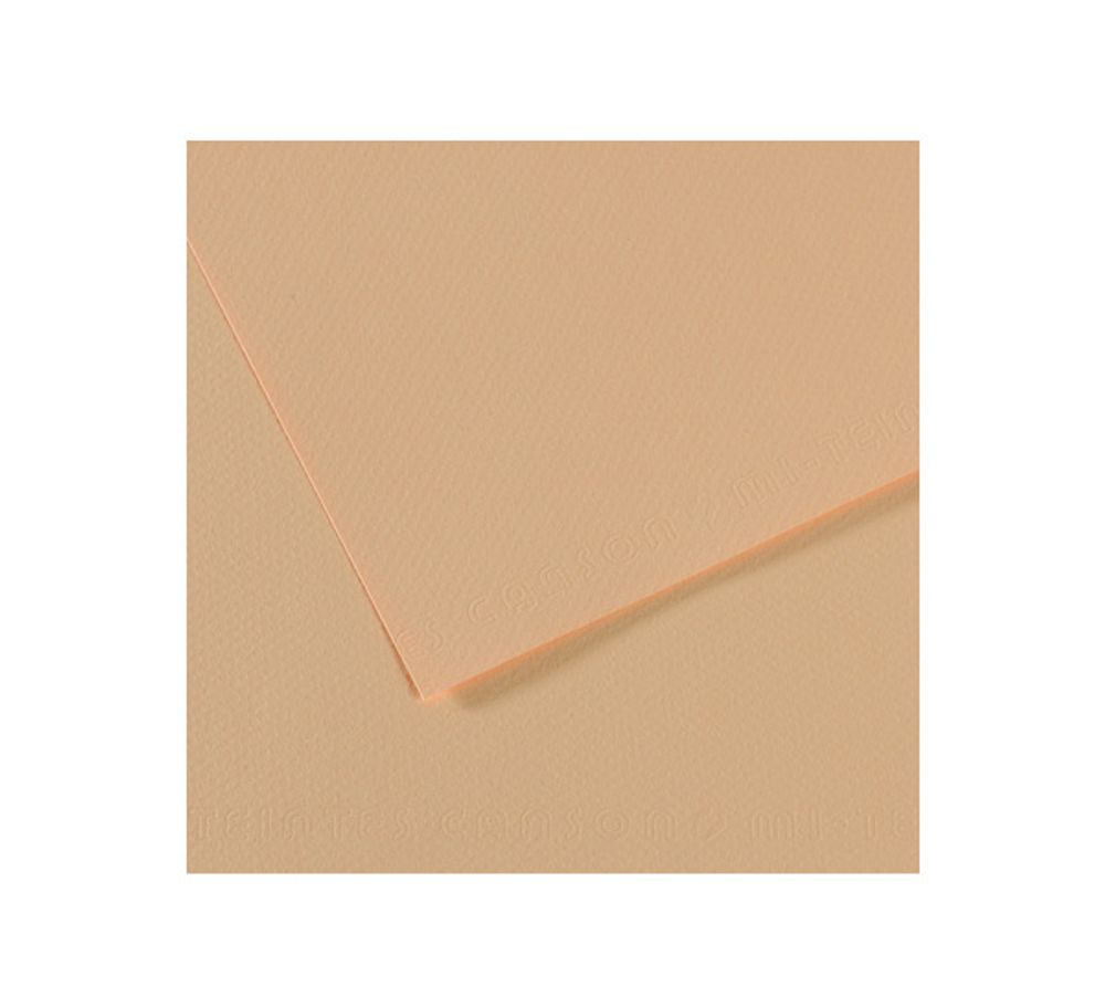 Бумага для пастели 160 г/м², 75х110 см, 25 листов, №350 золотисто-розовый, Canson Mi-Teintes C200321077