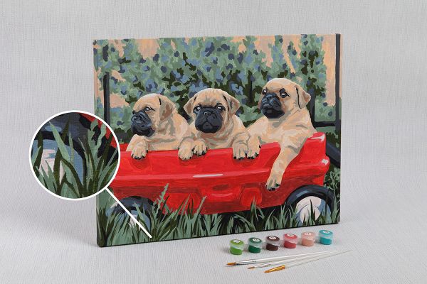 Картина по номерам Фрея, Мопсы, 30х40 см