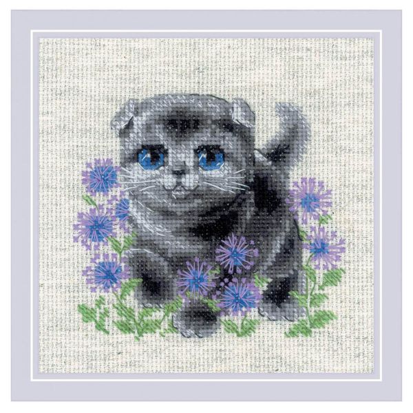Набор для вышивания нитками Риолис, Вислоухий котёнок 15х15 см, 626168