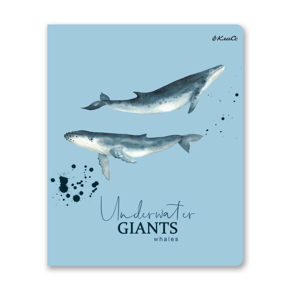 Тетрадь ученическая общая, софт тач, A5+ 96 л. на скобе, белизна 100%, 5 шт, клетка, 000352 Подводная одиссея, Светоч 96ТСК5_12_3_1