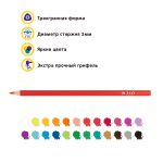 Карандаш цветной пластиковый трехгранный заточенный 24 цв, Лео LPPCP-24