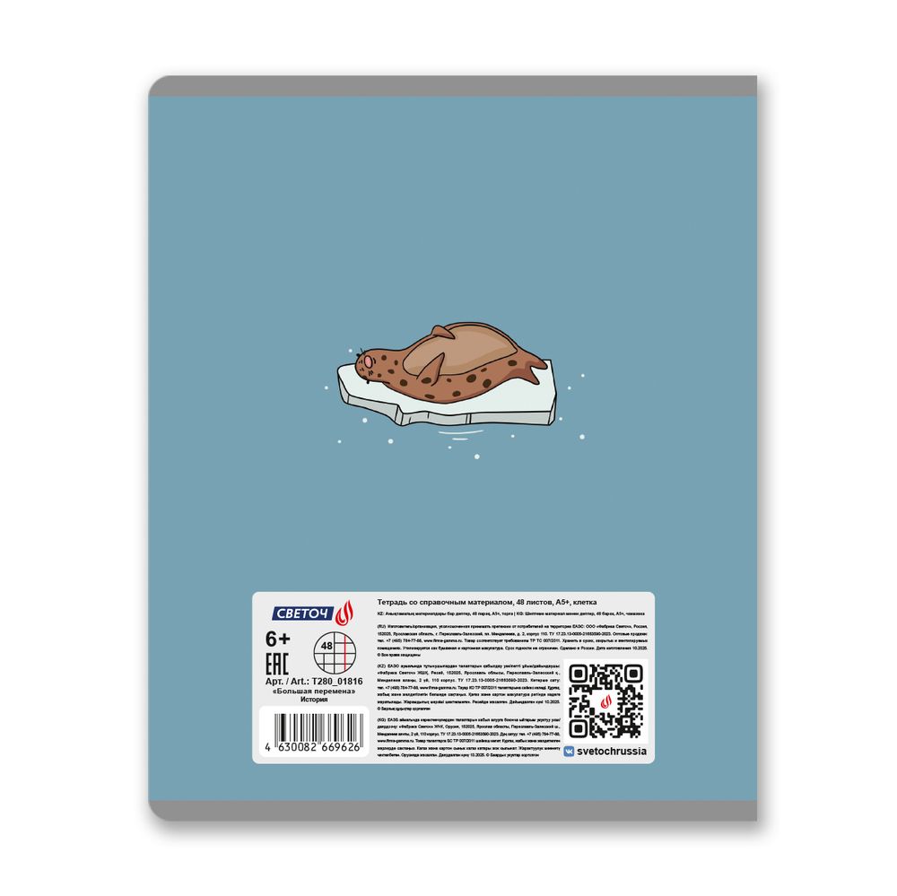Тетрадь со справочным материалом Большая перемена, выбор.лак, A5 48 л. на скобе 65 г/м², белизна 100% 10 шт клетка, 01816 Большая перемена История, Светоч Т280