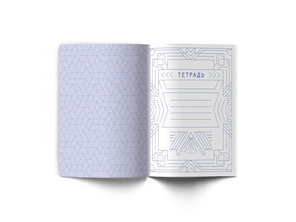 Комплект тетрадей со справочным материалом Линия успеха, софт тач ламинация + тиснение фольгой, A5+ 48 л. 12 шт, на скобе 65 г/м², белизна 100 %, клетка/линия, 01051 12 предметов, Светоч 48К35