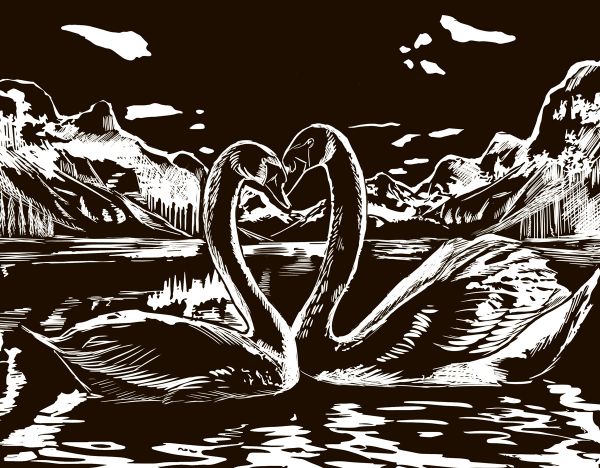 Набор для творчества Гравюра 20х25.5 см, №30 Лебеди (серебро), Hobbius SGHK