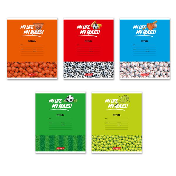 Тетрадь ученическая школьная A5+ 24 л. на скобе, белизна 100% 30 шт, клетка, 000372 Мячики, Светоч 24ТСКд5_1_3_1